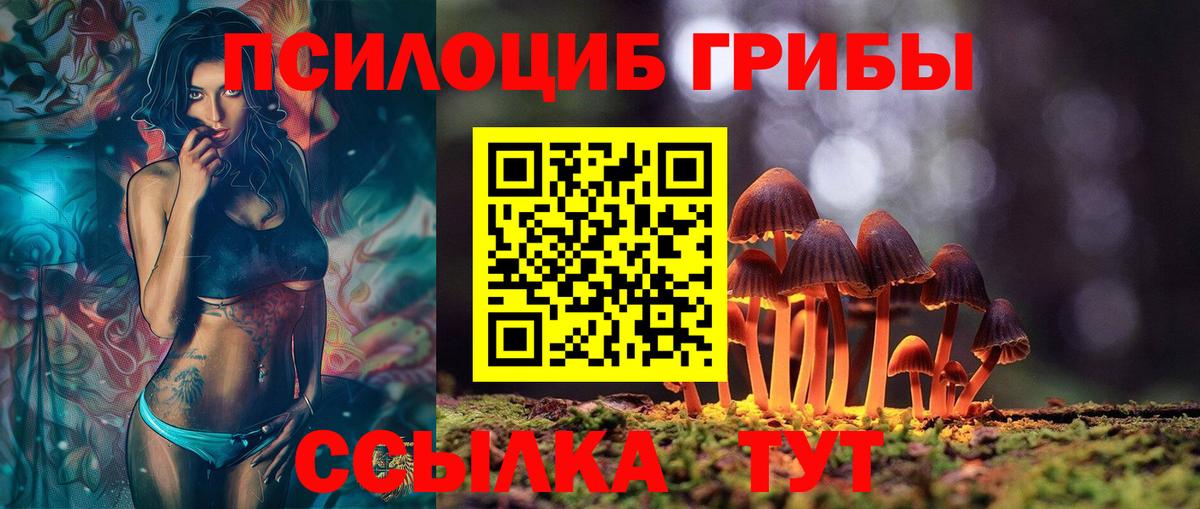 Галлюциногенные грибы MAGIC MUSHROOMS  Вход с VPN  Королёв  Галлюциногенные грибы мухоморы 