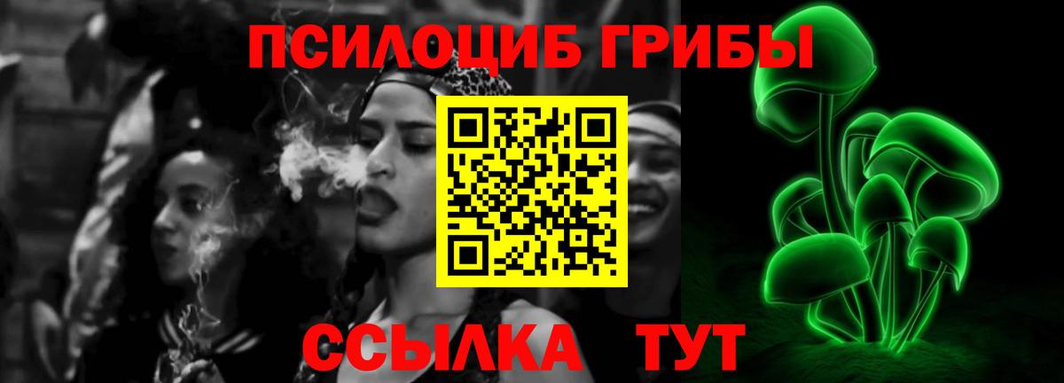 Галлюциногенные грибы Psilocybine cubensis Королёв